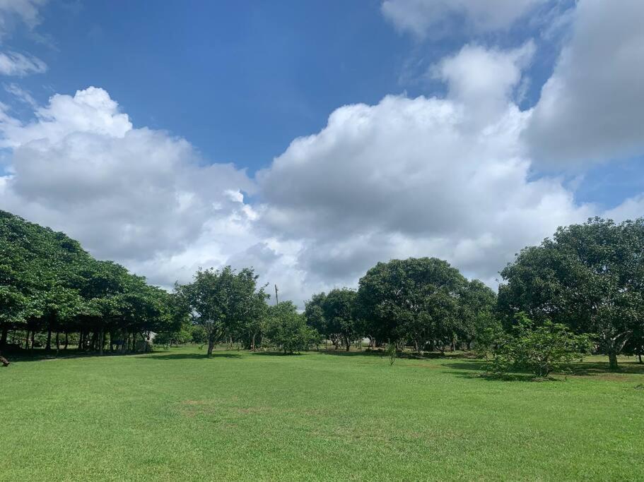 Disfruta Del Contacto Con La Naturaleza Apartamento Puntarenas Exterior foto