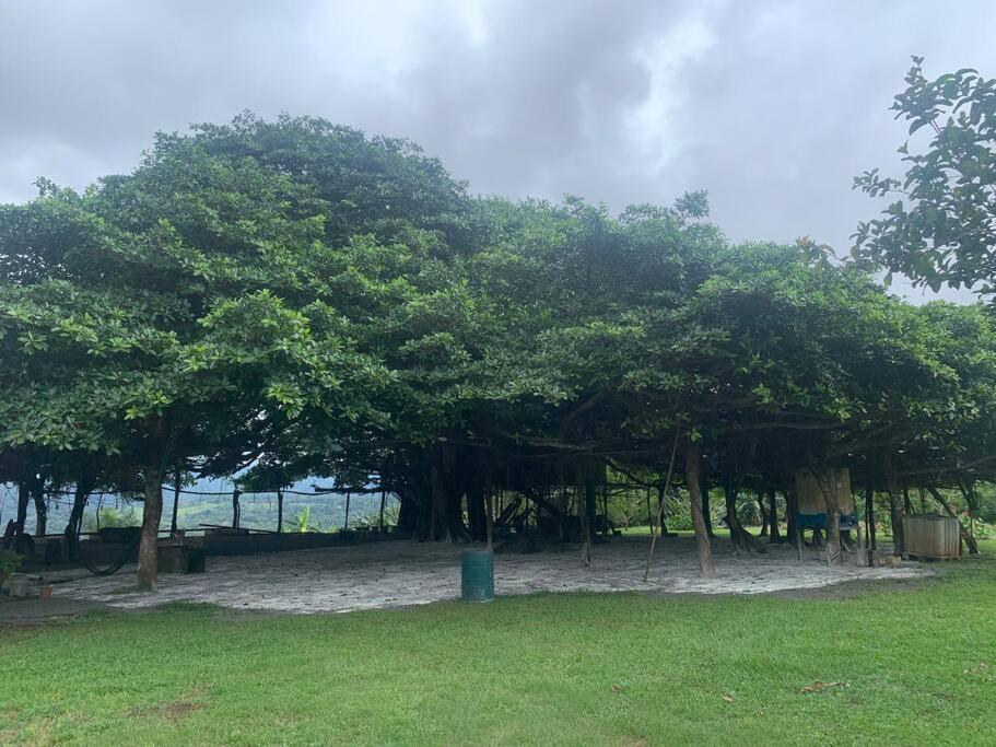 Disfruta Del Contacto Con La Naturaleza Apartamento Puntarenas Exterior foto