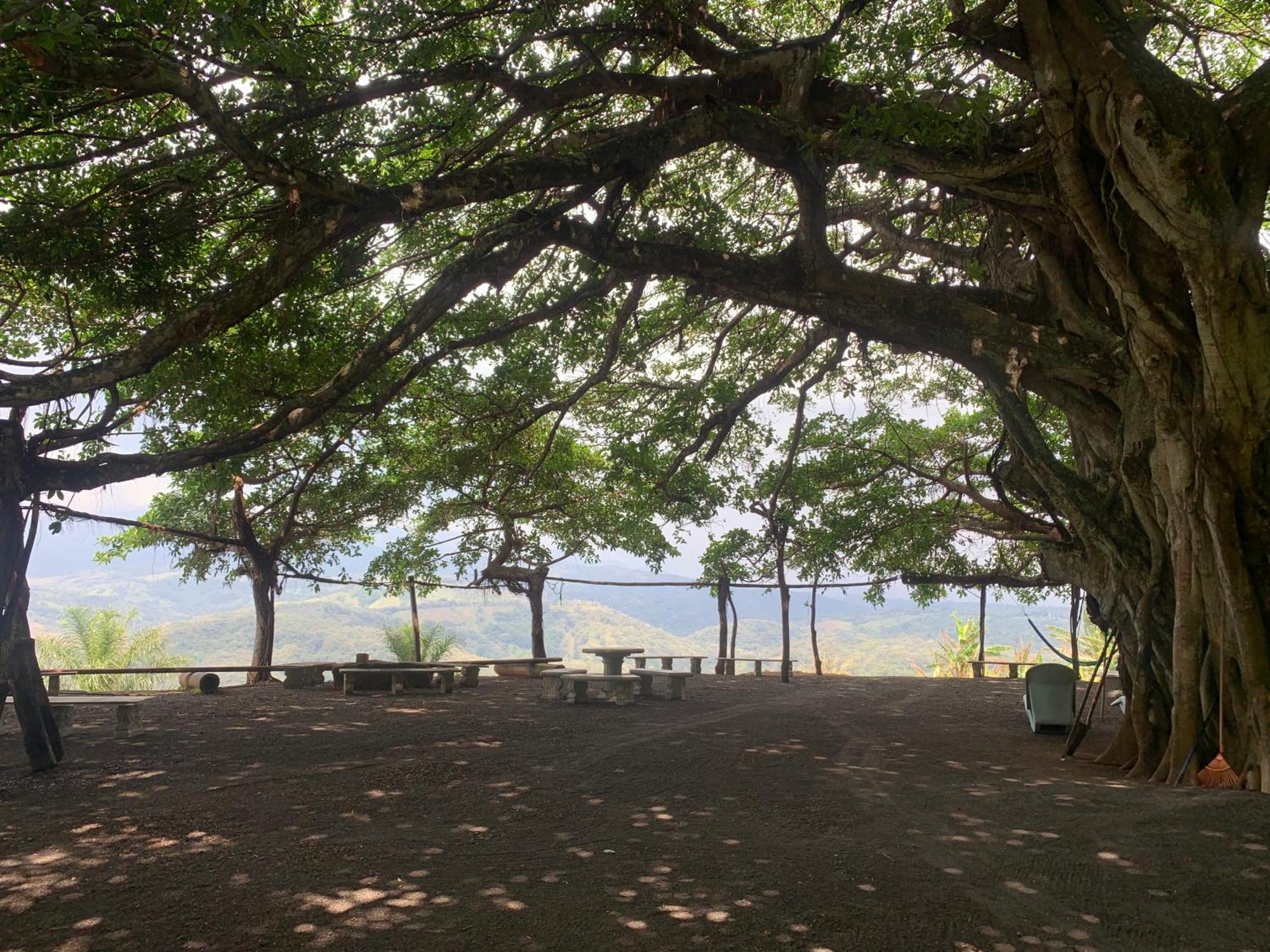Disfruta Del Contacto Con La Naturaleza Apartamento Puntarenas Exterior foto