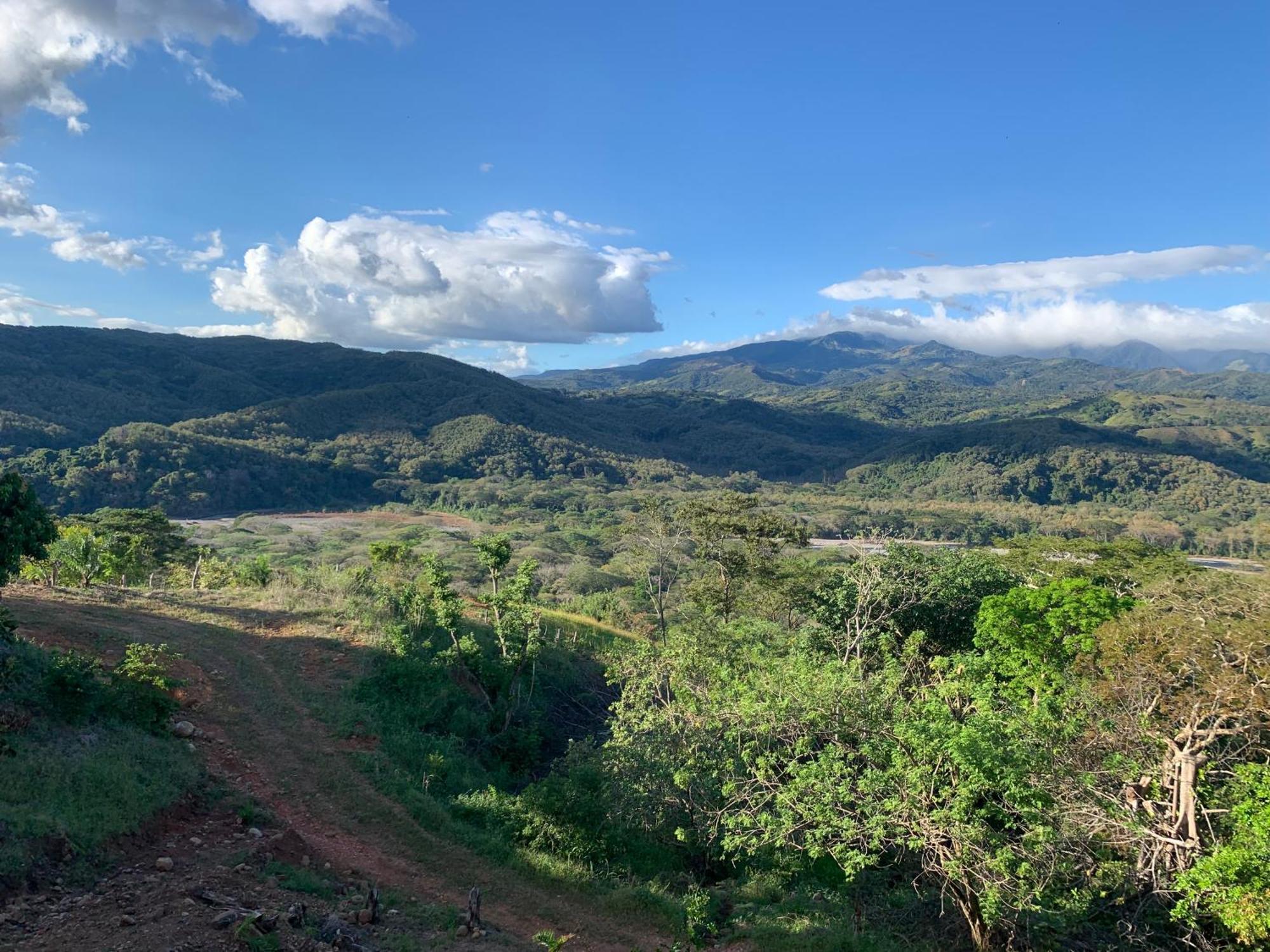 Disfruta Del Contacto Con La Naturaleza Apartamento Puntarenas Exterior foto