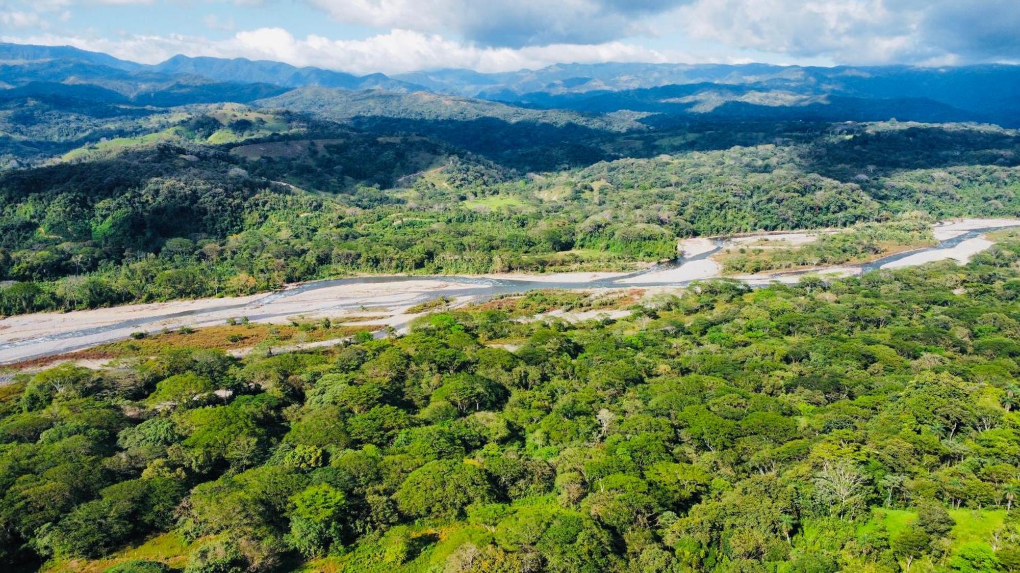 Disfruta Del Contacto Con La Naturaleza Apartamento Puntarenas Exterior foto